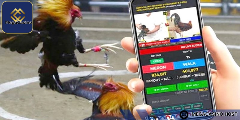 Hãy cân nhắc kỹ về rủi ro mỗi khi chọn cửa
